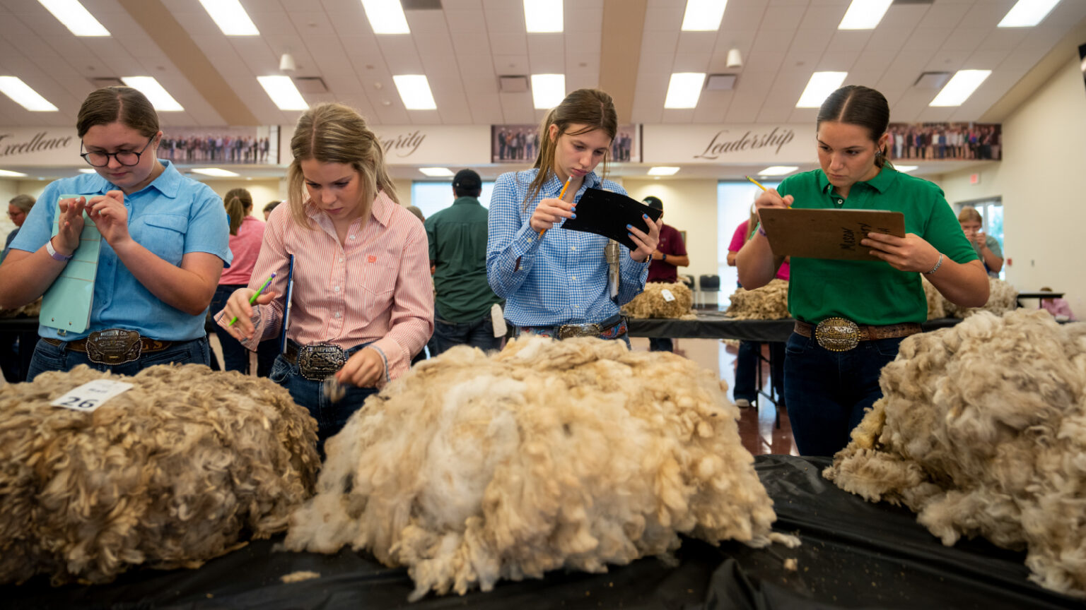 A photo of students from Texas A&M AgriLife Extension studying.
