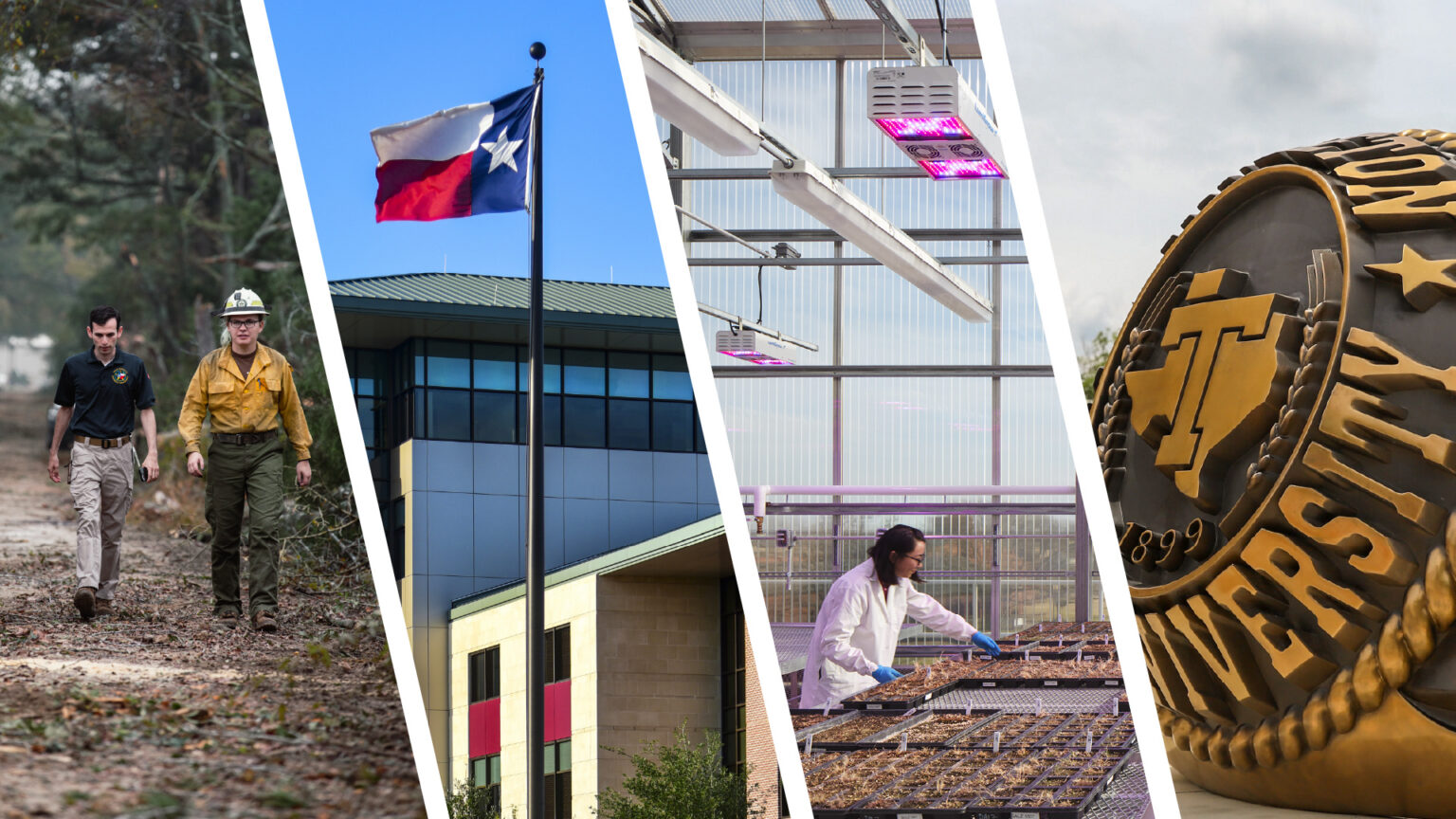 A composition of four photos in diagonal slivers: two people walking through a trail, a shot of the Texas state flag, a woman working in a greenhouse, and a shot of the Texas A&M Aggie Ring sculpture.