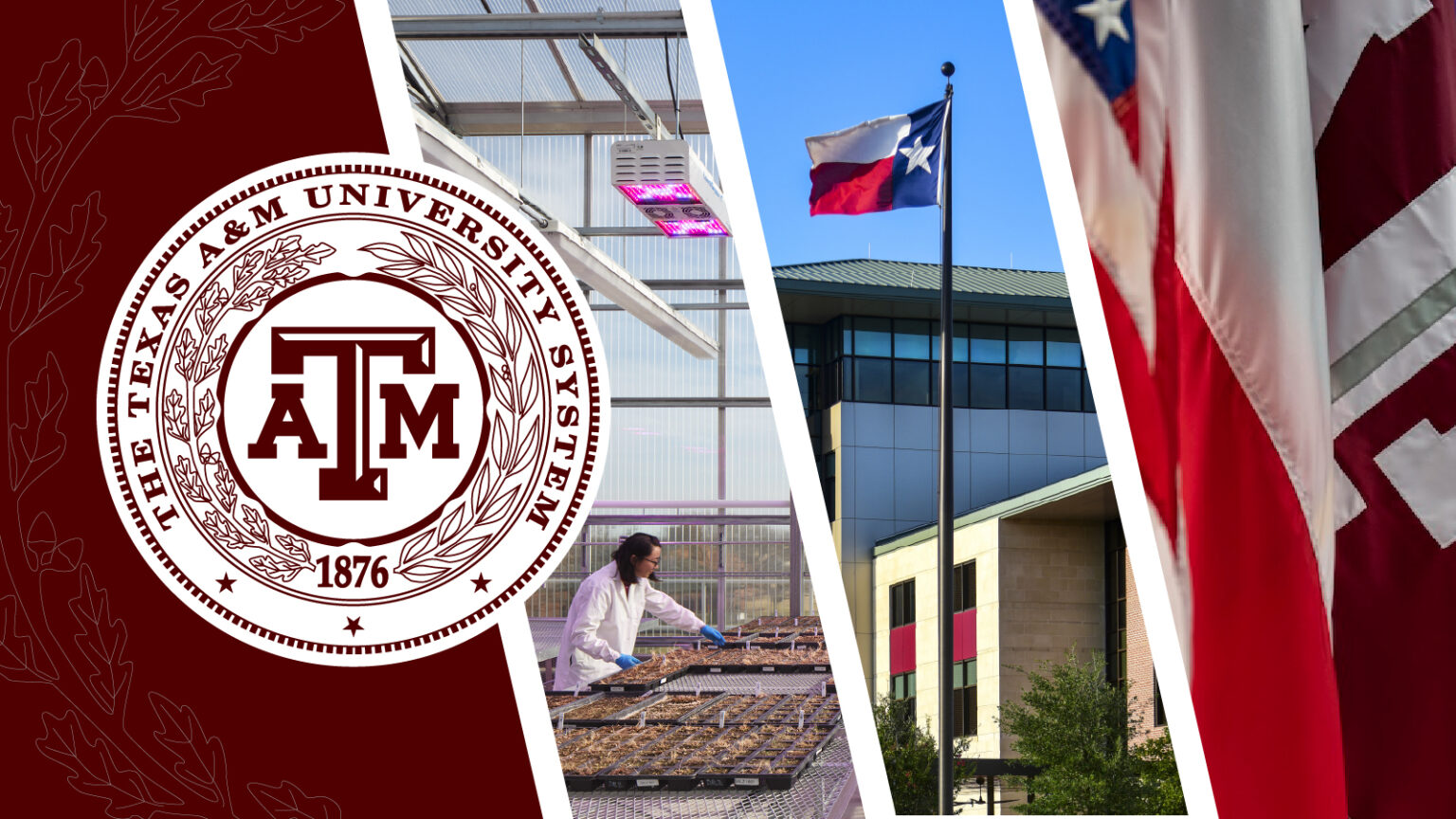 Picture of A&M system logo with some flags in the background