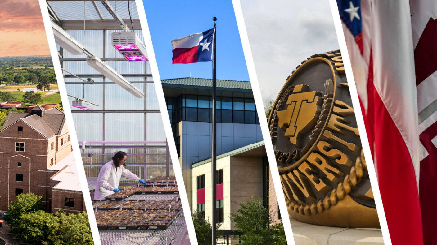 image college of flags and campus pictures of a&m