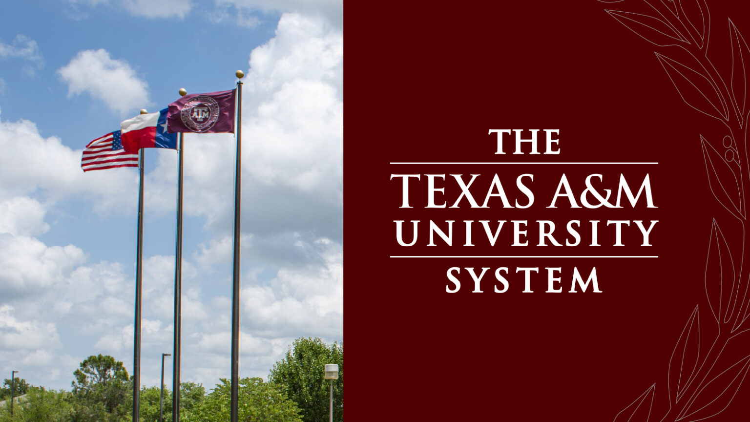 Texas A&M University System logo next to a picture of flags
