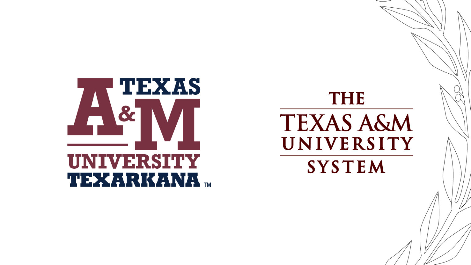 Dual logos for Texas a&m university texarkana and the texas a&m university system