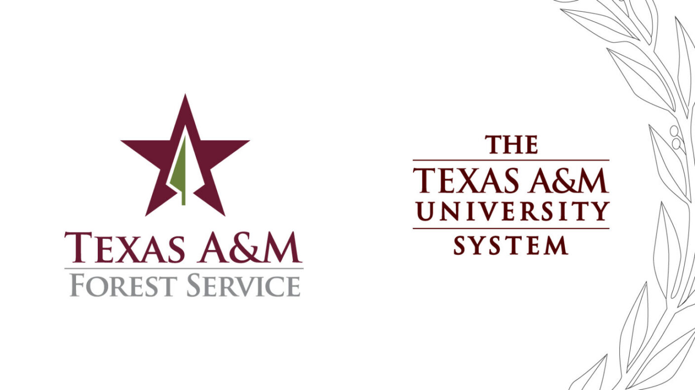 Dual logos for texas A&M forest service and the texas a&m university system