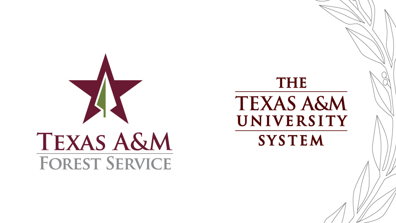 Dual logos for texas A&M forest service and the texas a&m university system