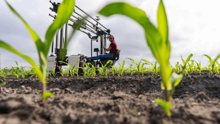 A man on a farming tool with crops growing in the foreground.