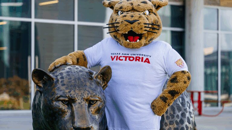 A photo of Texas A&M University Victoria mascot in front of a bronze statue of a jaguar.