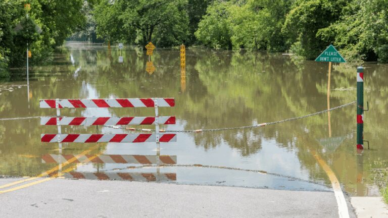 A photo of a flooded street.