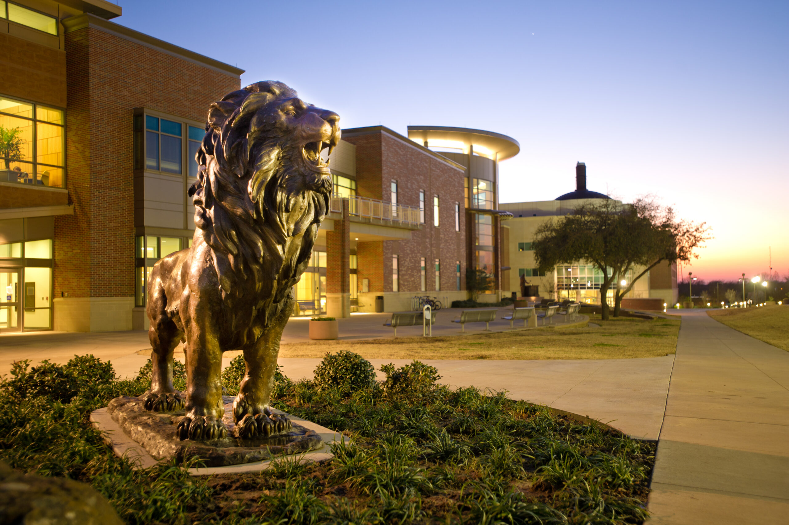 A bronze lion statue stands in a landscaped area in front of a modern brick building during twilight.