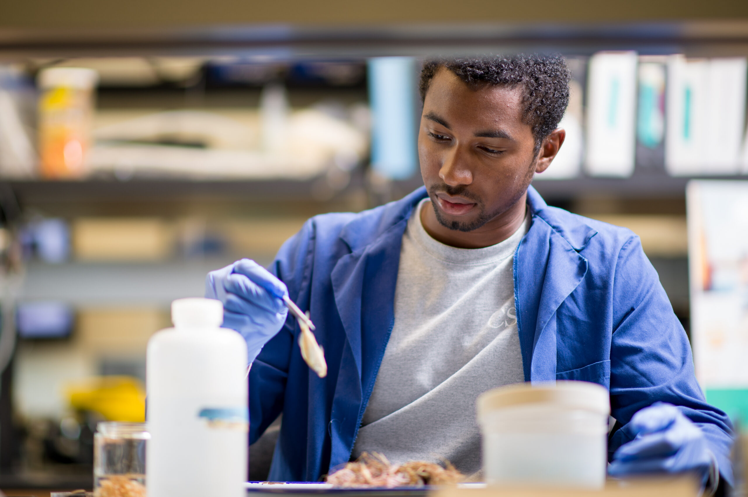 An individual working in a laboratory setting, wearing a blue lab coat and protective gloves while handling a small specimen with forceps.