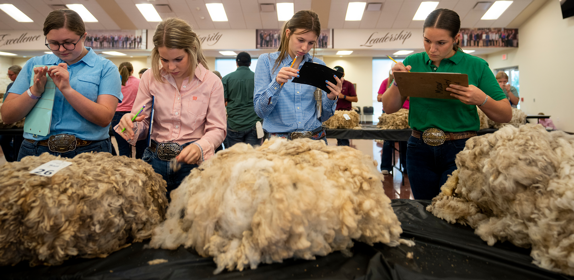 A group of students evaluating wool