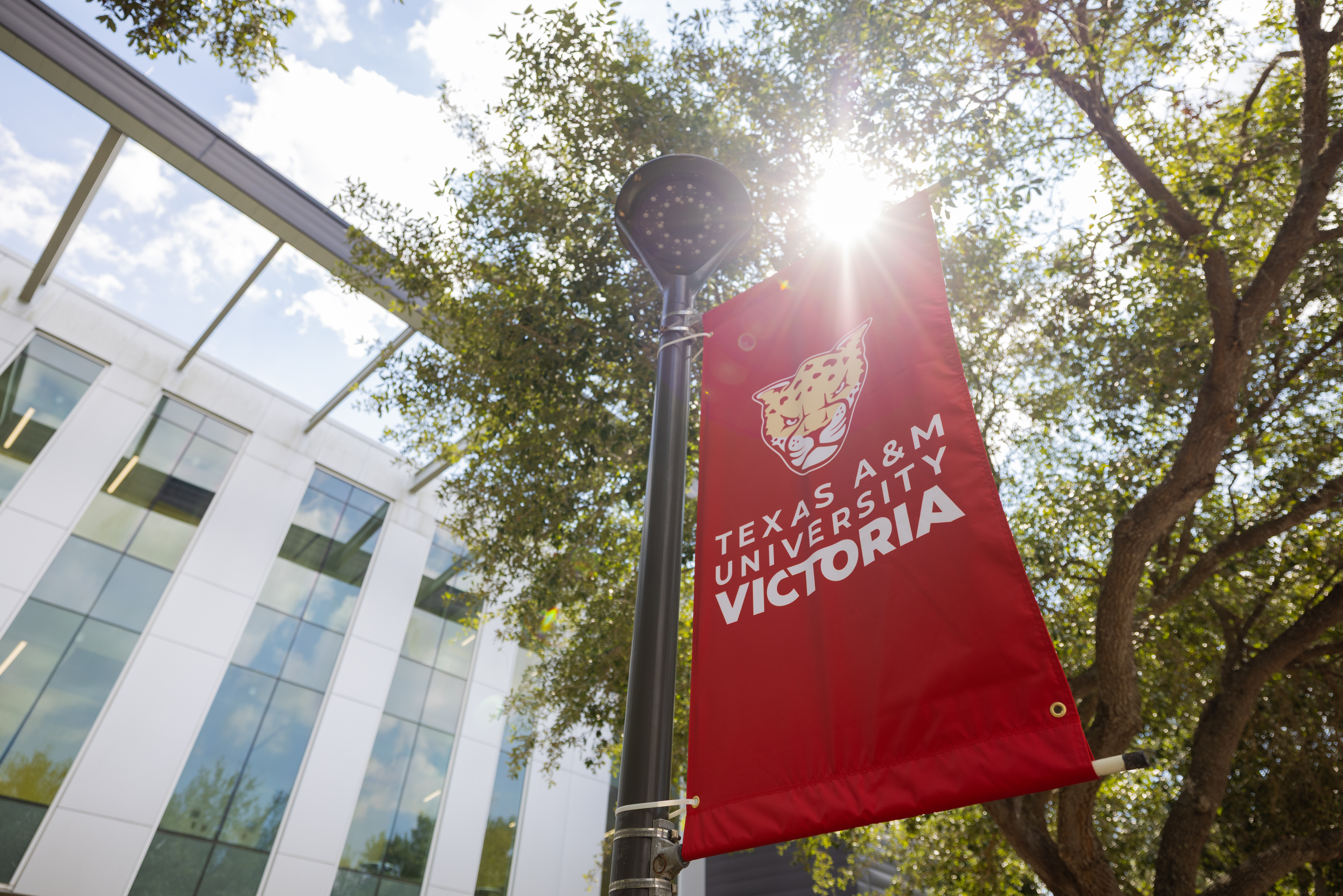 A red banner for Texas A&M University Victoria hangs from a pole against a backdrop of trees and a modern building on a sunny day.