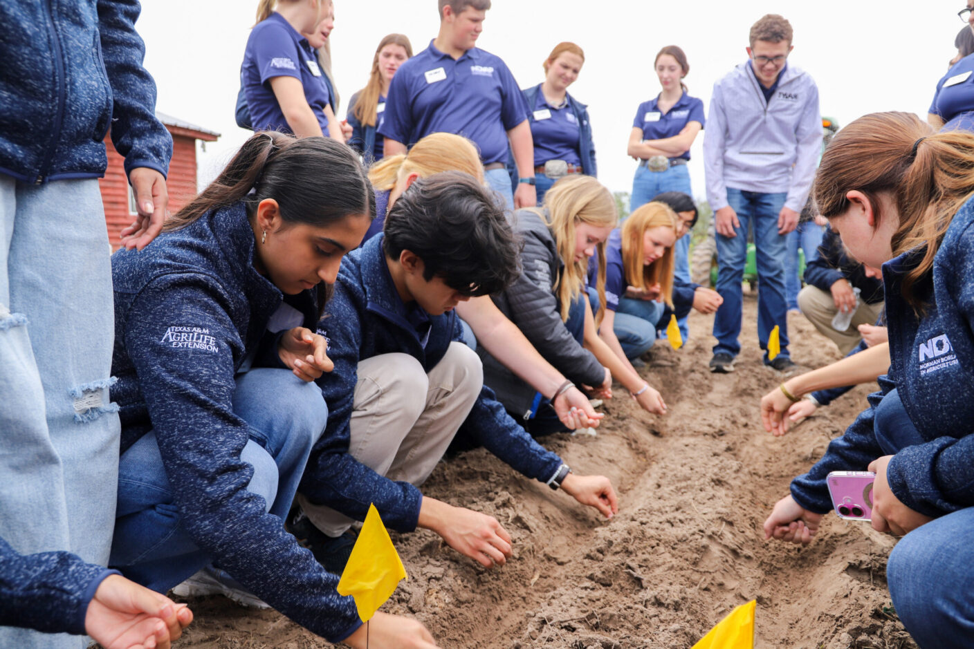 A group of young people kneel in a dirt field, carefully planting seeds with small yellow flags marking their spots.