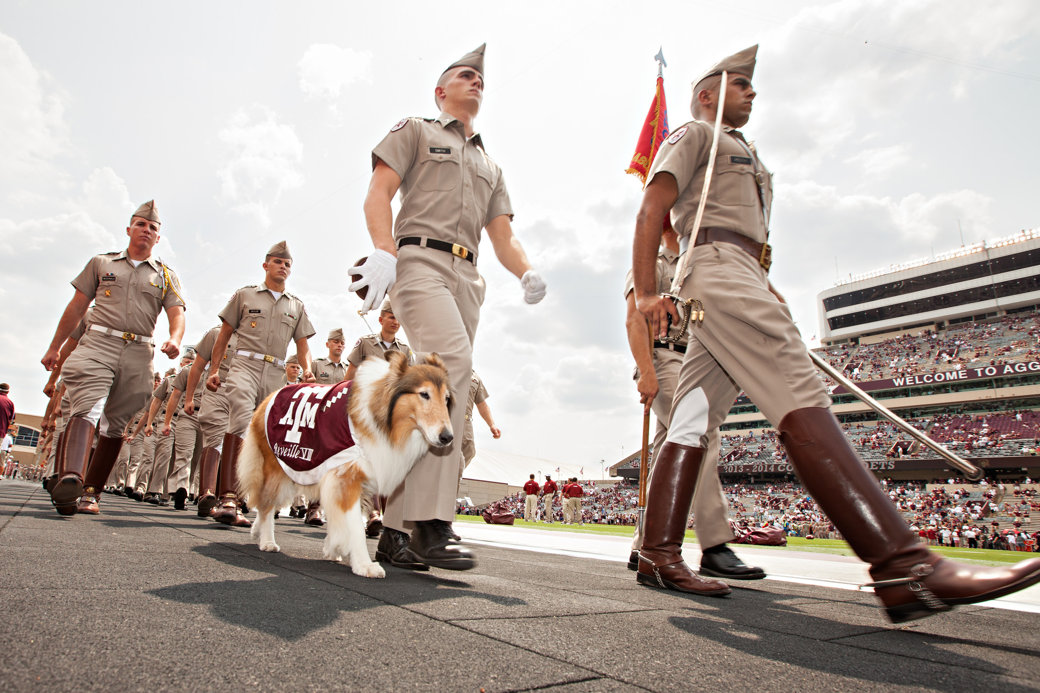 A uniformed procession walks across a stadium field, led by a collie wearing a maroon vest with "A&M" and "Aggies" text, while spectators fill the stands.