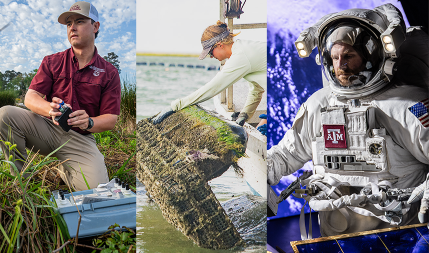 Texas A&M professionals conducting field research, participating in a waterway cleanup and preparing for spaceflight.
