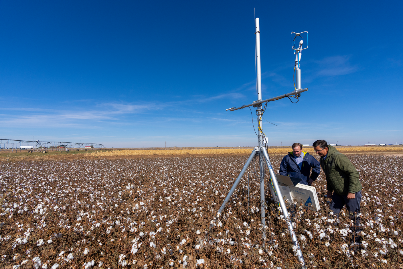 Two men working on a device in a cotton field