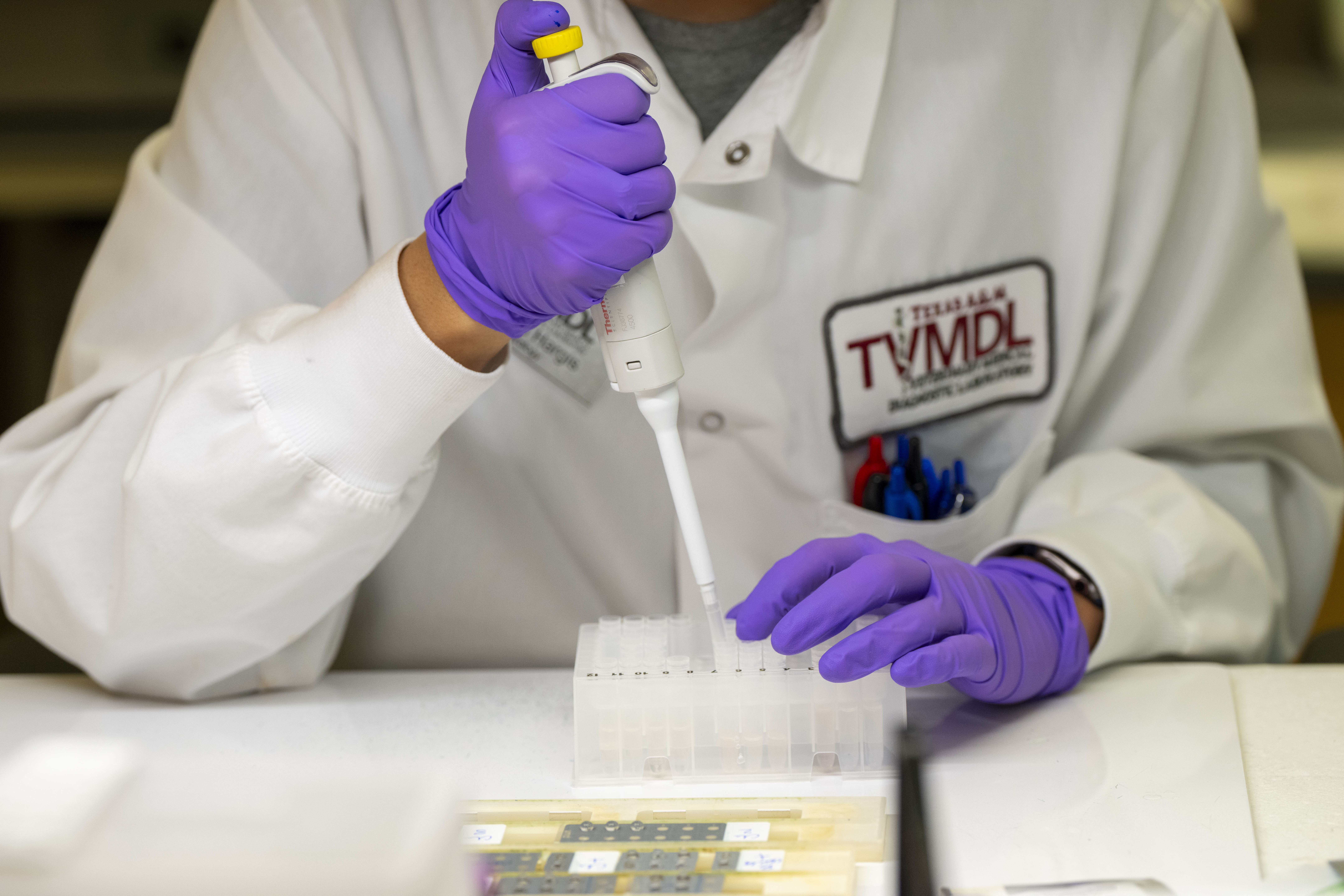 Scientist using pipettes.